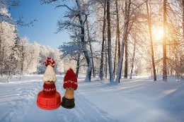 Hyvää joulua toivottaen